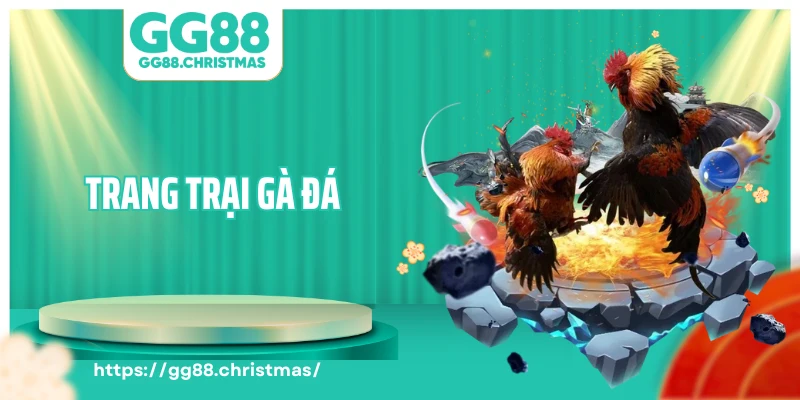 Trang Trại Gà Đá - Mô Hình Kinh Tế Hiệu Quả Thực Tiễn